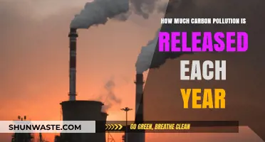 Carbon Pollution's Annual Release: A Global Concern