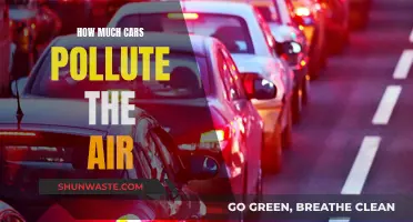Cars' Pollution Problem: How Bad is the Air We Breathe?