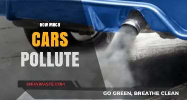 Cars: The Pollution Problem on Our Roads