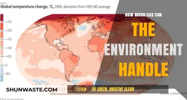 Understanding Earth's CO2 Limits: How Much Can Our Environment Handle?