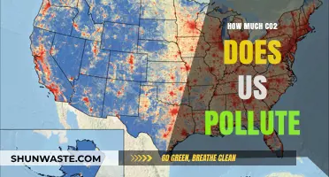 US Carbon Footprint: How Much CO2 is Too Much?