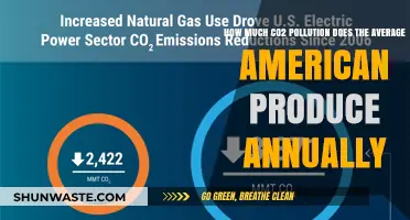 Americans' Annual Carbon Footprint: A Startling Wake-Up Call