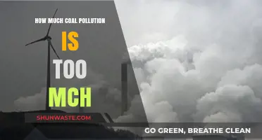 Coal Pollution: How Much is Harmful?