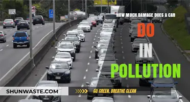 Cars: Pollution, Damage, and Our Future