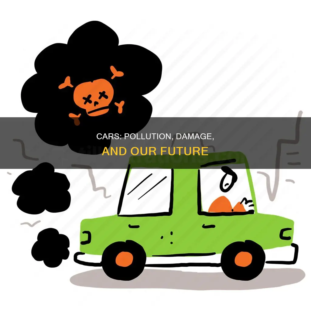 how much damage does a car do in pollution
