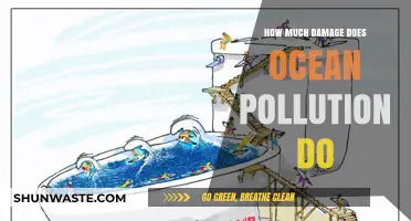 Ocean Pollution: Devastating Impact on Marine Life and Ecosystems