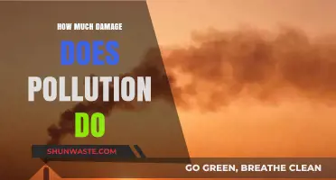 Pollution's Devastating Impact: Understanding the True Cost