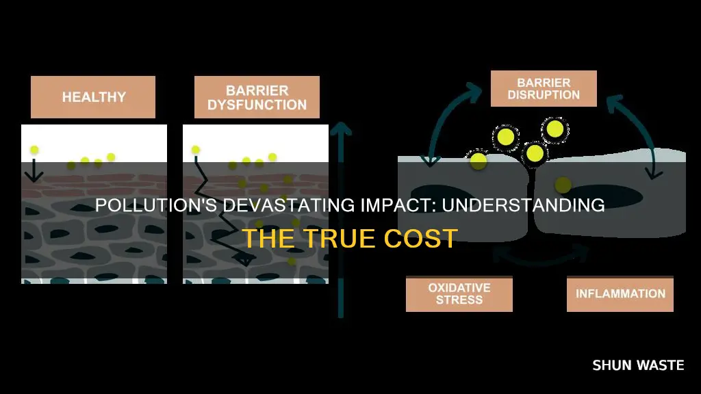 how much damage does pollution do