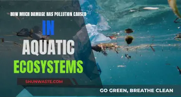 The Devastating Impact: Pollution's Aquatic Ecosystem Catastrophe