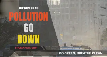 Air Pollution: A Declining Global Threat?