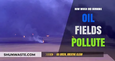 Oil Fields Burning: Pollution's Dark Legacy