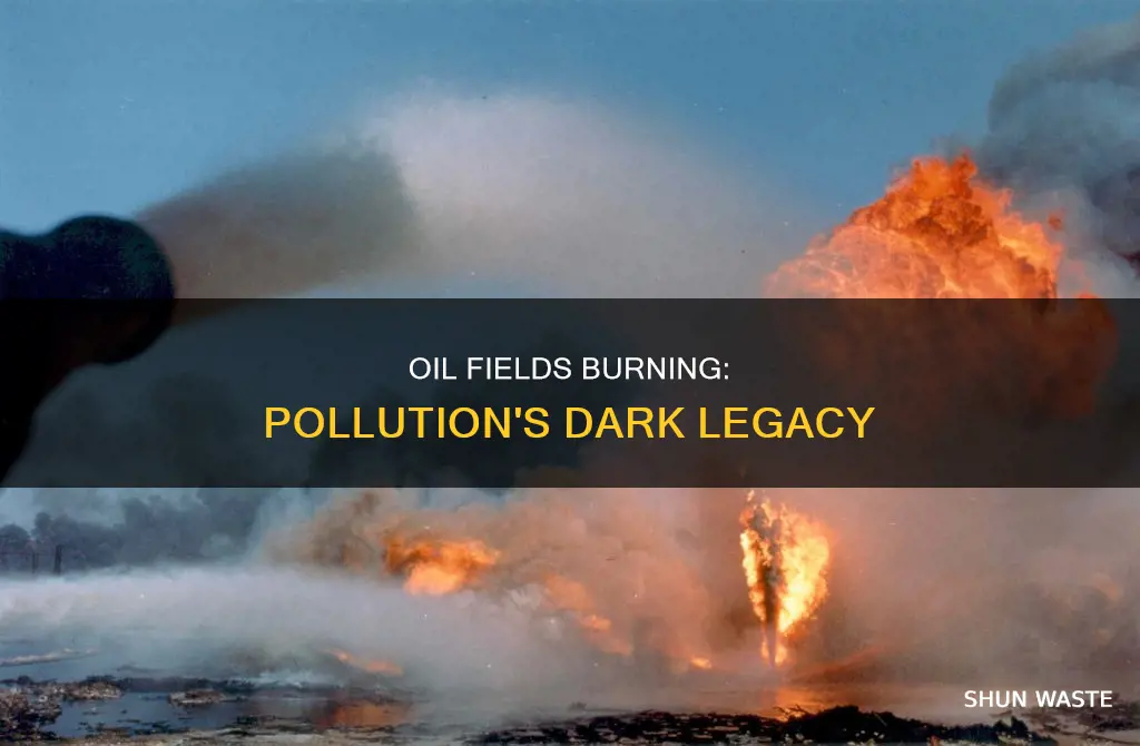 how much did burning oil fields pollute