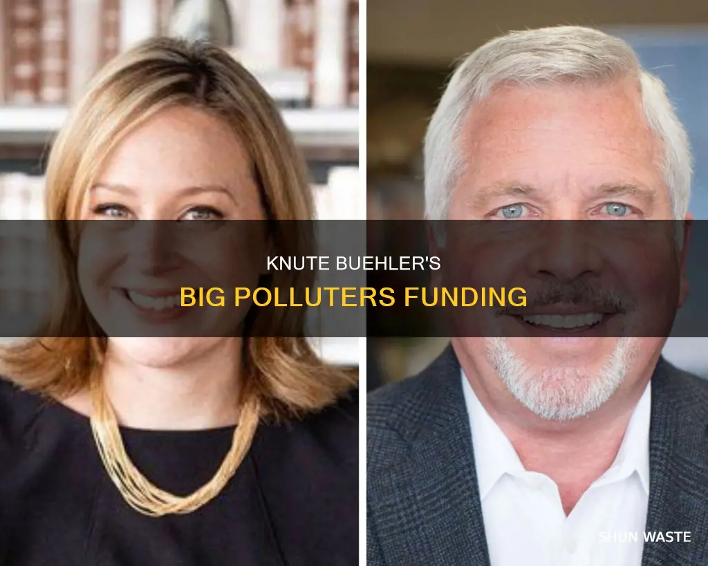 how much did knute buehler take fromm big polluters