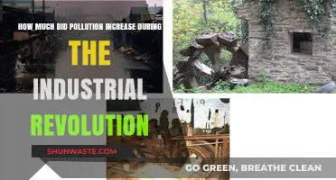 Industrial Revolution's Pollution Legacy