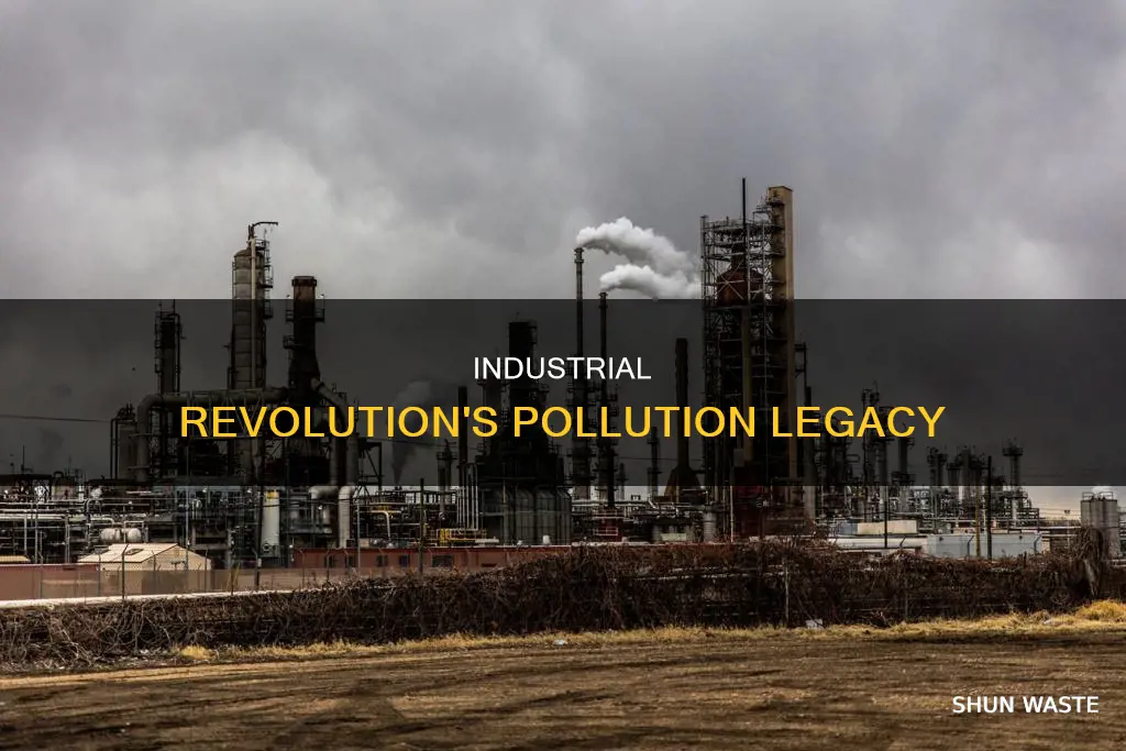 how much did pollution increase during the industrial revolution