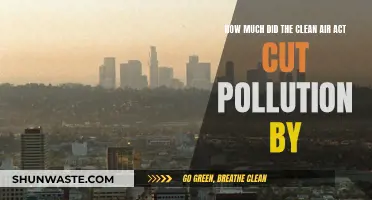 The Clean Air Act: Pollution Reduction Results