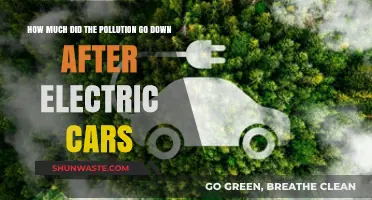 Electric Cars: Pollution Reduction and the Road Ahead