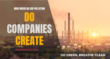 Air Pollution: Corporate Accountability for Cleaner Air