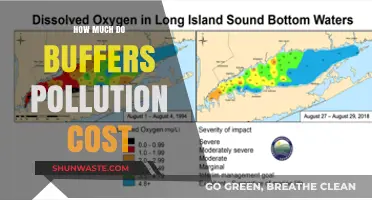 The Cost of Pollution: Buffer Zones' Expense