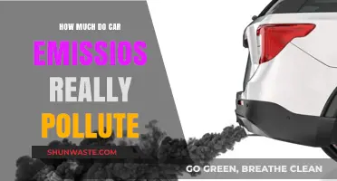 Car Emissions: How Polluted Is Our Air?