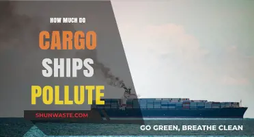 Cargo Ships: A Major Source of Pollution?