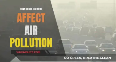 Cars' Impact on Air Pollution: Understanding the Devastating Effects