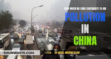 Cars' Air Pollution Impact in China: Understanding the Crisis