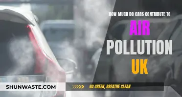 Cars' Air Pollution Impact in the UK