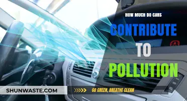 Cars: Major Polluters or Not?
