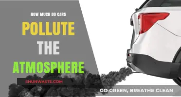Cars: Polluting Our Atmosphere, How Much?