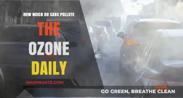 Cars' Daily Ozone Pollution: What's the Damage?