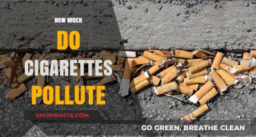 Cigarettes: A Major Pollutant in Our Environment