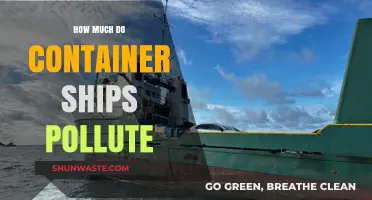 Container Ships: Polluting Our Oceans and Air