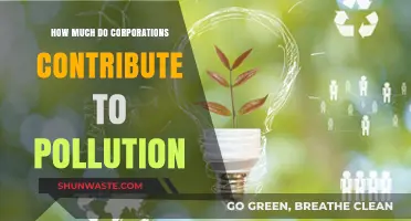 Corporate Pollution: Who's Responsible for the Environmental Damage?