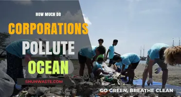Corporate Ocean Pollution: The Devastating Impact and Extent