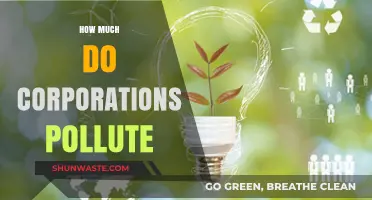 Corporate Pollution: The Devastating Impact on Our Planet