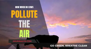 Cows' Impact: Air Pollution and Methane Emissions Explained