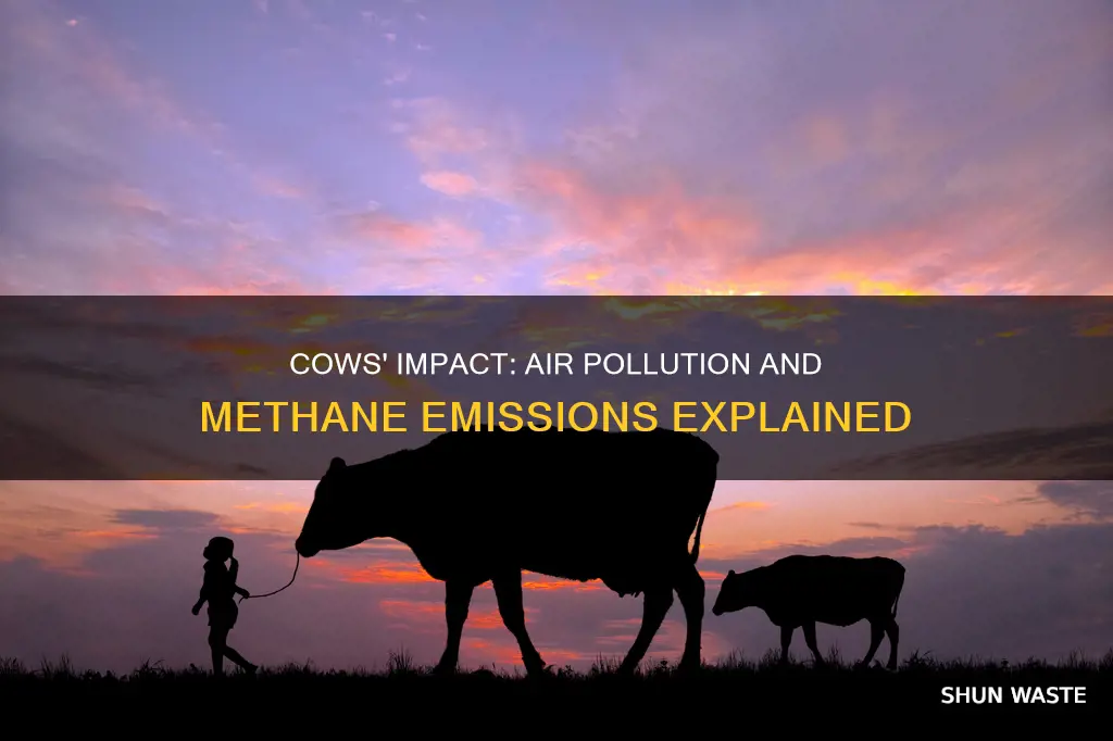 how much do cows pollute the air