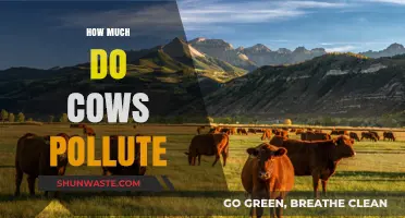 Cows and Climate Change: The Pollution Problem