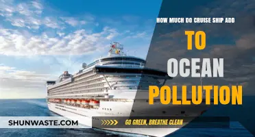 Cruise Ships: Ocean Polluters or Sustainable Voyagers?
