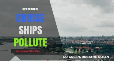Cruise Ships: A Hidden Pollution Problem