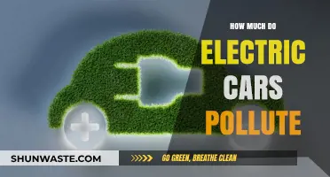 Electric Cars: Pollution, Myths, and Realities