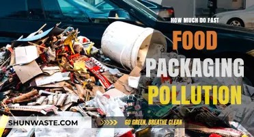 Fast Food's Packaging Pollution: A Growing Environmental Crisis