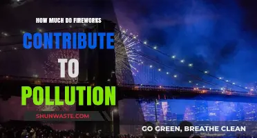 Fireworks' Pollution Impact: Understanding the Environmental Cost