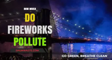 Fireworks' Pollution: The Dark Side of Celebrations