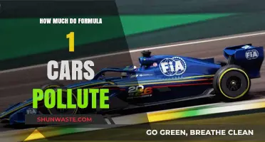 The Dark Side of Formula 1: Car Pollution