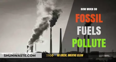 Fossil Fuels: A Major Contributor to Pollution
