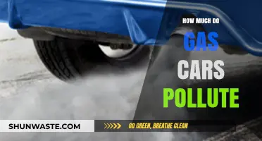 Gas Cars: Polluting Our Planet, Hurting Our Health