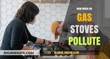 Gas Stoves: The Unseen Pollution in Your Home