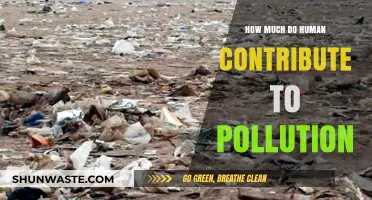 Human Impact: Pollution's Major Source